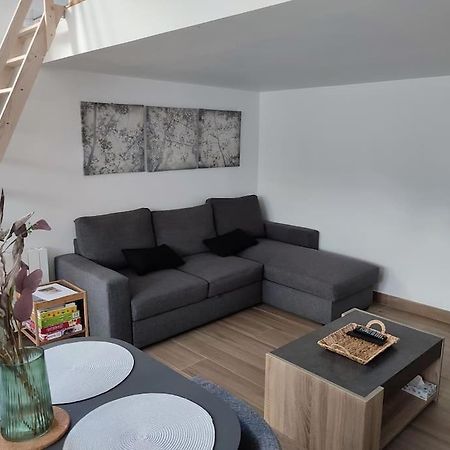 Maison Studio 4 Personnes Avec Mezzanine 圣马塞尔 外观 照片